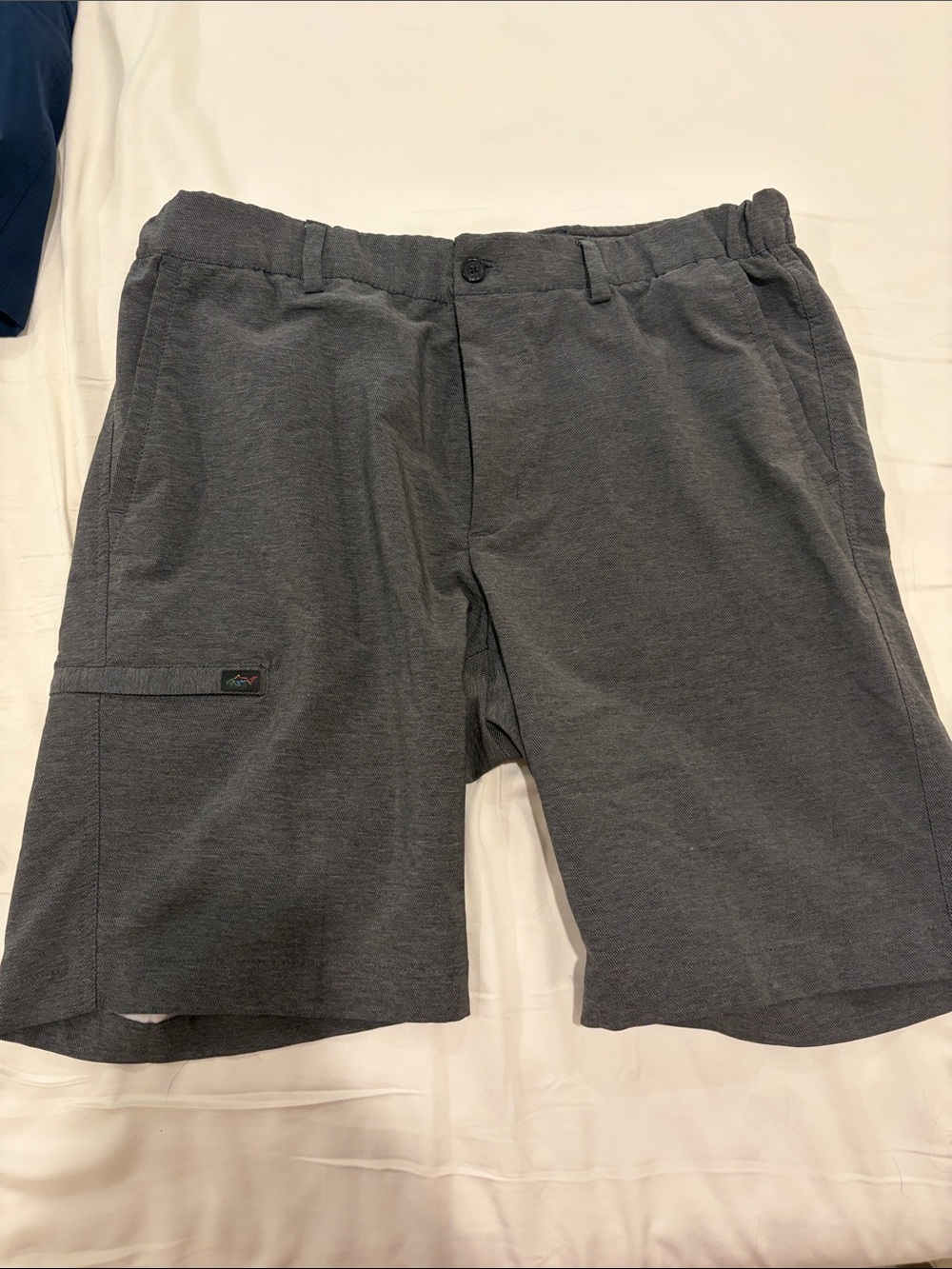 Men's Gray Performance Shorts